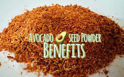 Avocado Seed Health Benefits